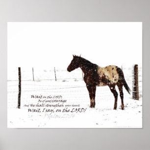 Affiche de cheval d'hiver et de matte de