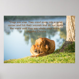 Affiche de chien de Boerboel avec la citation