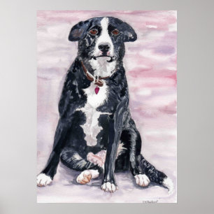 Affiche "de chien noir"