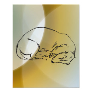 Affiche de chien teckel endormi