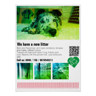 Affiche de chiot Great Dane Designer