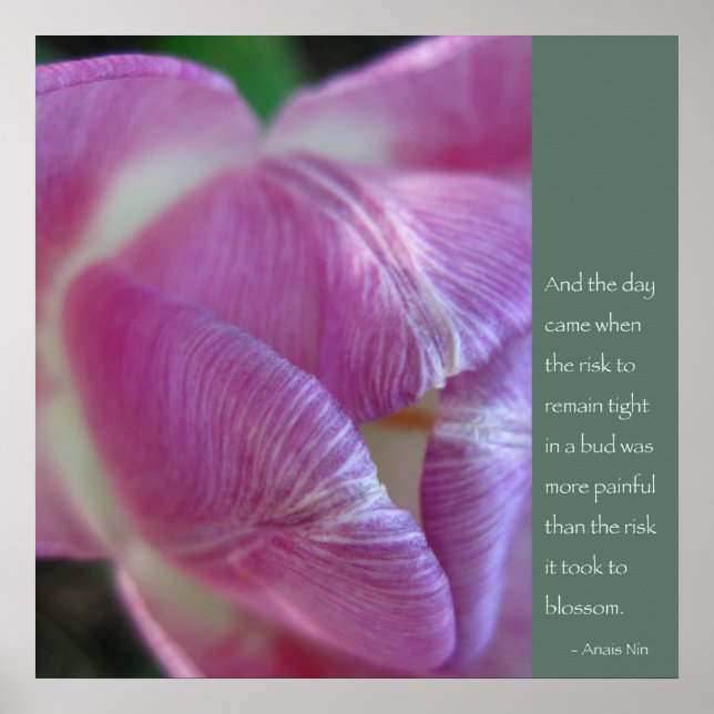 Affiche de citation Anais Nin (Devant)