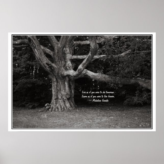 Affiche de citation Ghandi, Perley Oak Monochrome (Devant)