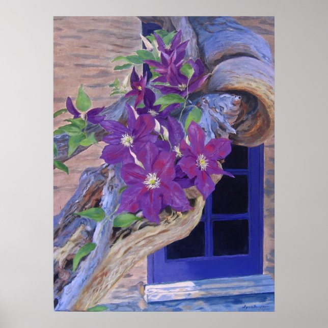 affiche de clematis (Devant)