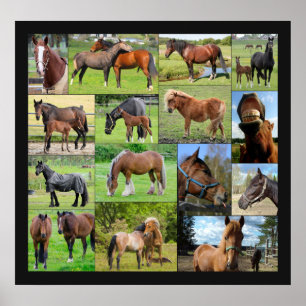 Affiche de collage du Cheval Lover