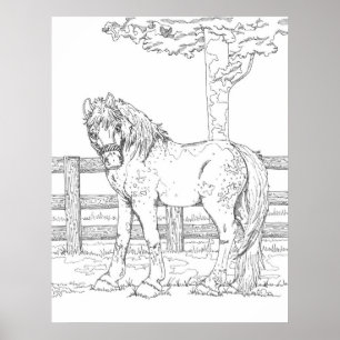 Affiche de coloriage du cheval