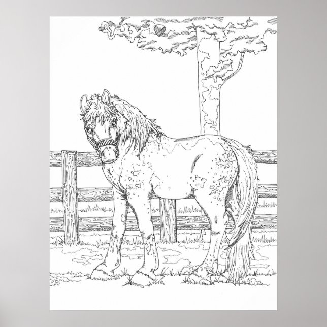 Affiche de coloriage du cheval (Devant)