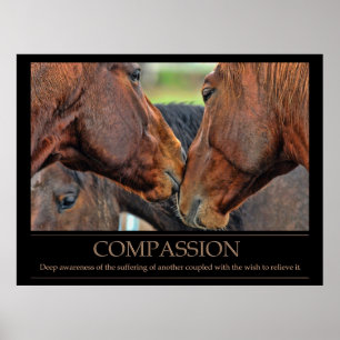 Affiche de compassion