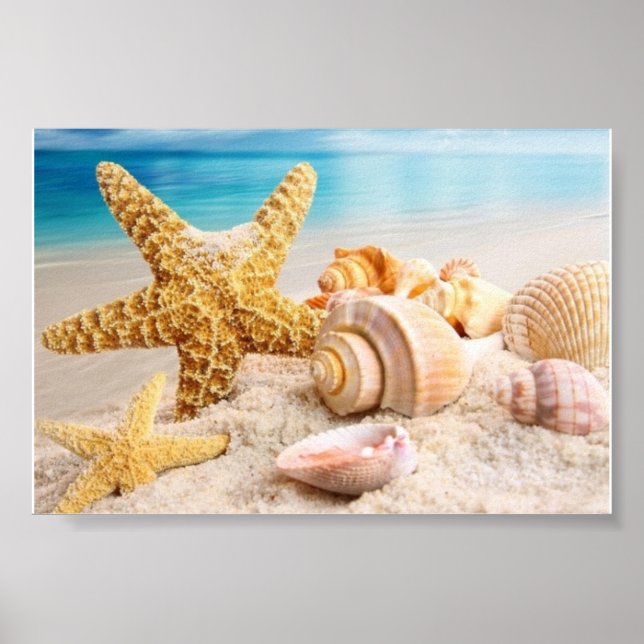 Affiche de coquillages sur la plage (Devant)