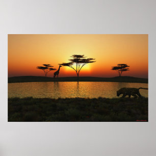 Affiche de coucher du soleil de la savane
