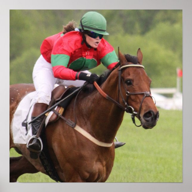 Affiche de course de cheval (Devant)