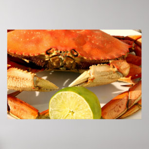 Affiche de crabe de Dungeness