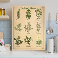 Affiche de cuisine botanique de charte d'herbes vi