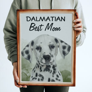 Affiche de Dalmatian