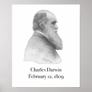 Affiche de Darwin