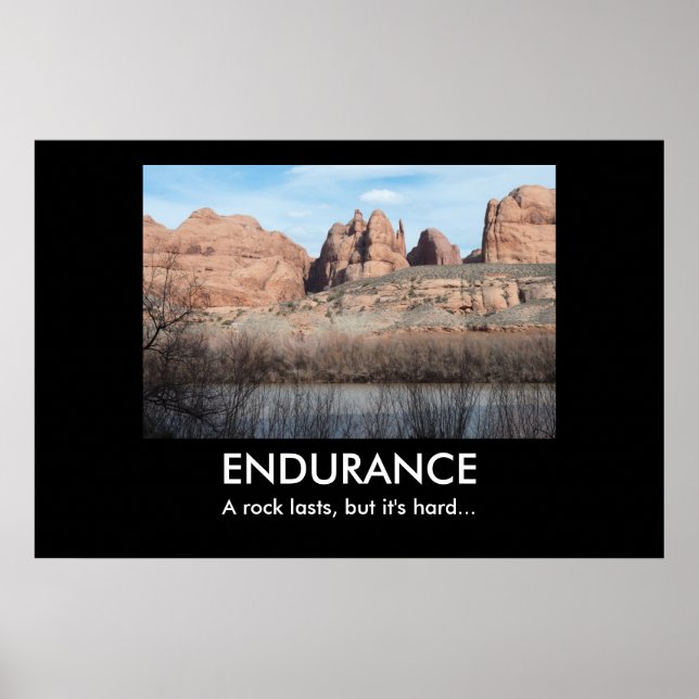 AFFICHE DE DÉMOCRATIE DE L'ENDURANCE (Devant)