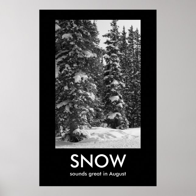 Affiche de démotivation de la NEIGE (Devant)