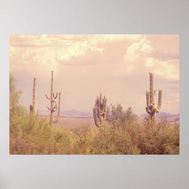 Affiche de Desert Dream (Devant)