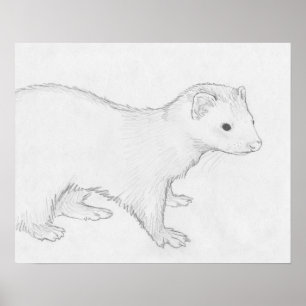 Affiche de dessin de furet de "Theo"