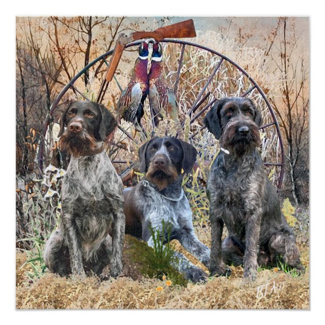 Affiche de Deutsch Drahthaar (Devant)