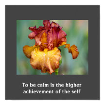 Affiche de devis inspirante