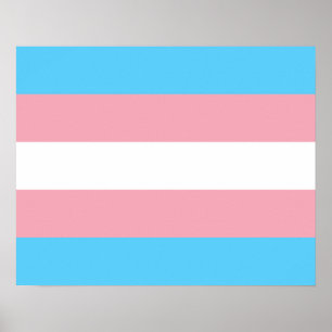 Affiche de drapeau de transsexuel