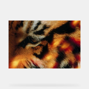 Affiche de faune à proximité de l'Œil de Tigre Dor