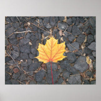 Affiche de feuille contrastante
