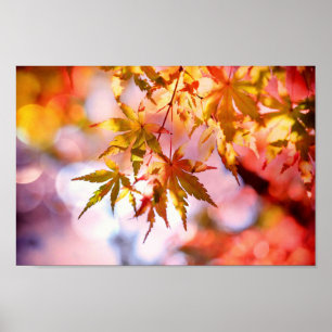 Affiche de feuille d'automne