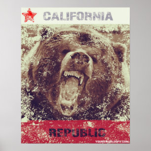 Affiche de fierté de Cali