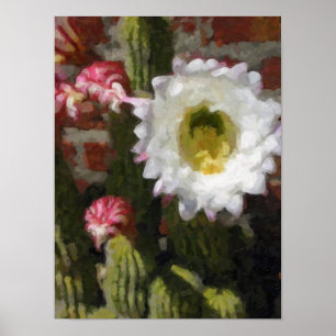 Affiche de fleur de cactus