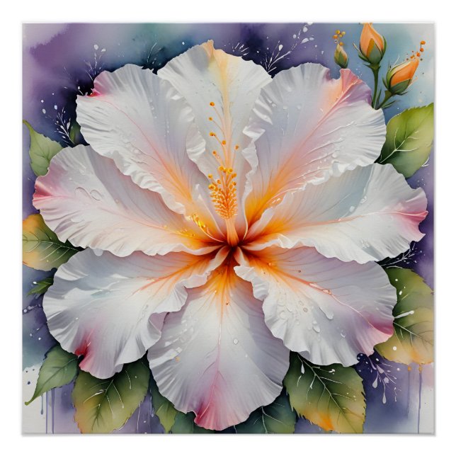 affiche de fleur d'hibiscus blanc (Devant)