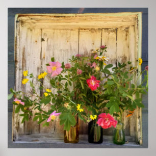 affiche de fleur sauvage