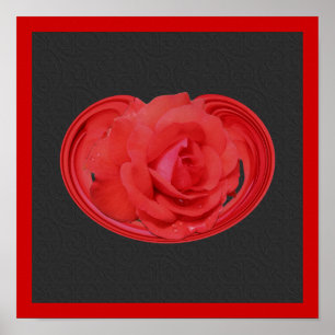 Affiche de fleurs de design gouttes de pluie de ro