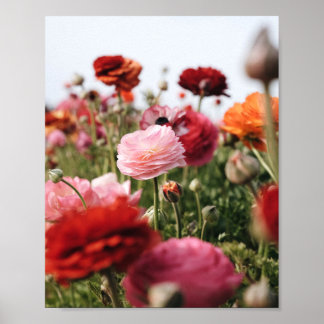 Affiche de fleurs roses et rouges