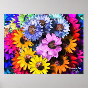 Affiche de floraison de beagles