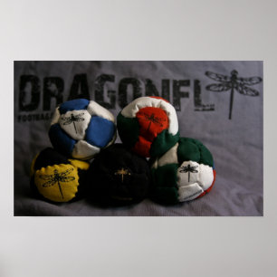 Affiche de Footbags de libellule
