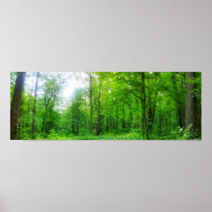 affiche de forêt du lac 3White