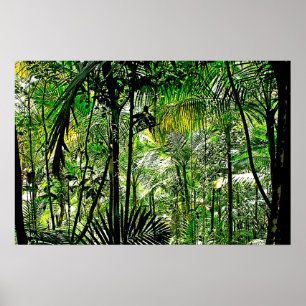 Affiche de forêt tropicale