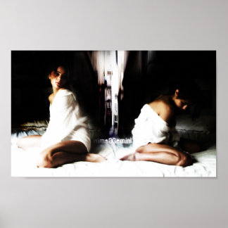 Affiche de Gemini