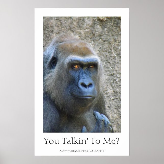 Affiche de gorille amusant ! (Devant)