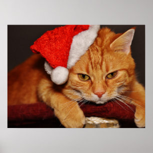 Affiche de Grumpy Cat avec un chapeau de Père Noël