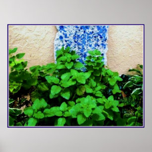 Affiche de jardin d'herbes de mélisse