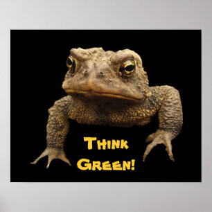 Affiche de jour de la terre de crapaud américain