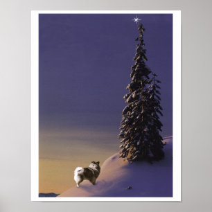 Affiche de Keeshond "d'arbre de Noël d'O"