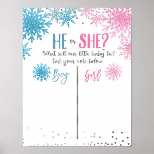 Affiche de la Commission électorale du flocon de n