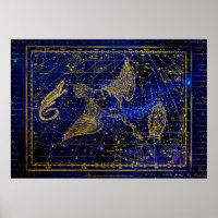 affiche de la constellation de lézard et de cygne