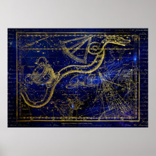 affiche de la constellation du chat et du serpent