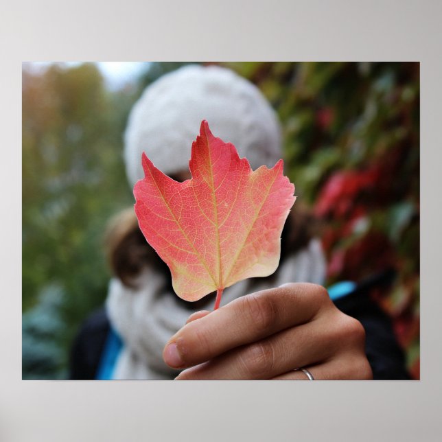 Affiche de la feuille d'automne (Devant)
