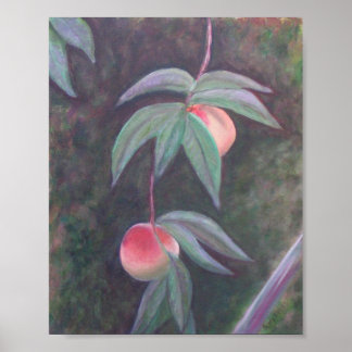 Affiche de la FLORIDE PEACHES